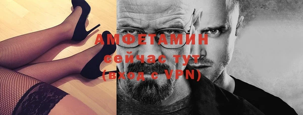 стаф Пересвет