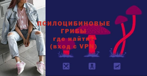 стаф Пересвет