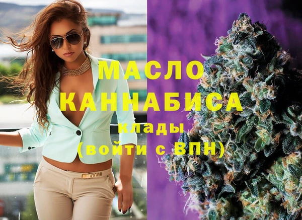 стаф Пересвет