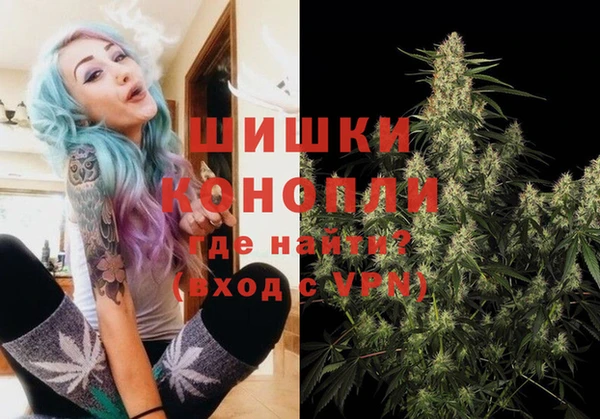 стафф Пестово