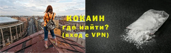стаф Пересвет