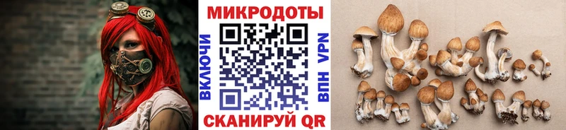 Псилоцибиновые грибы Cubensis  Тихорецк 