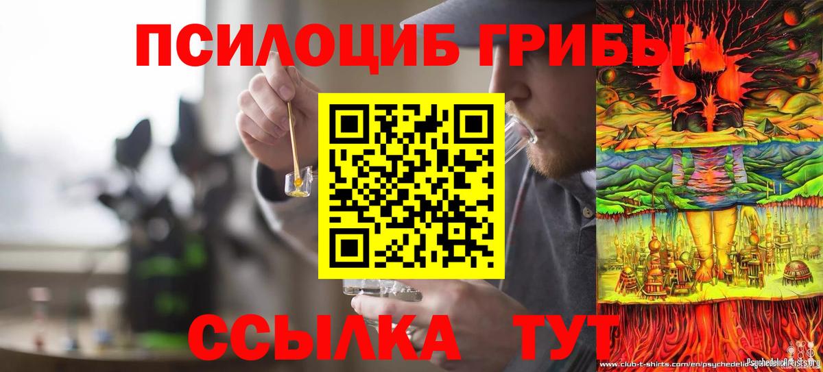 Псилоцибиновые грибы Magic Shrooms Тихорецк